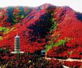 ���ϼt�~�����B�Ļ����΅^