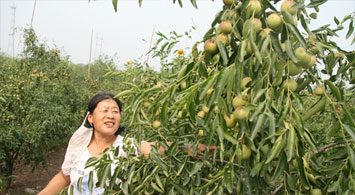 մ���������γɮa�I(y��)