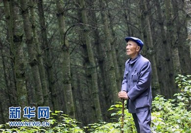 �W�������޾���