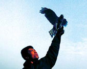 �M������a�c����