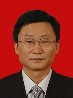 �V���h�h�L  �����