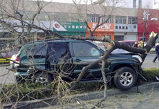 ���l(f��)�F(xi��n)��(ch��ng)