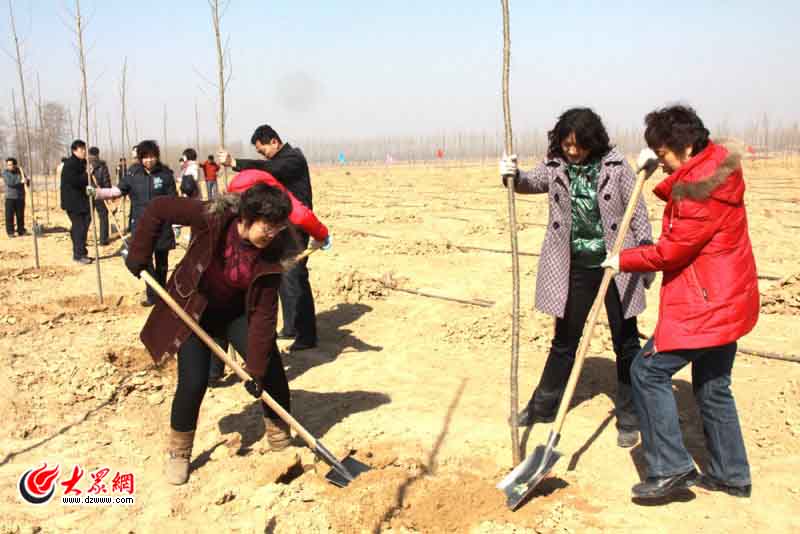 ����Փ���W(w��ng)�ѹ�ֲ����(��i)�Ę�(sh��)��