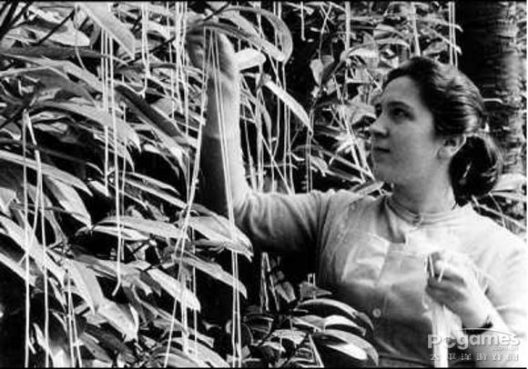 瑞士面條大豐收