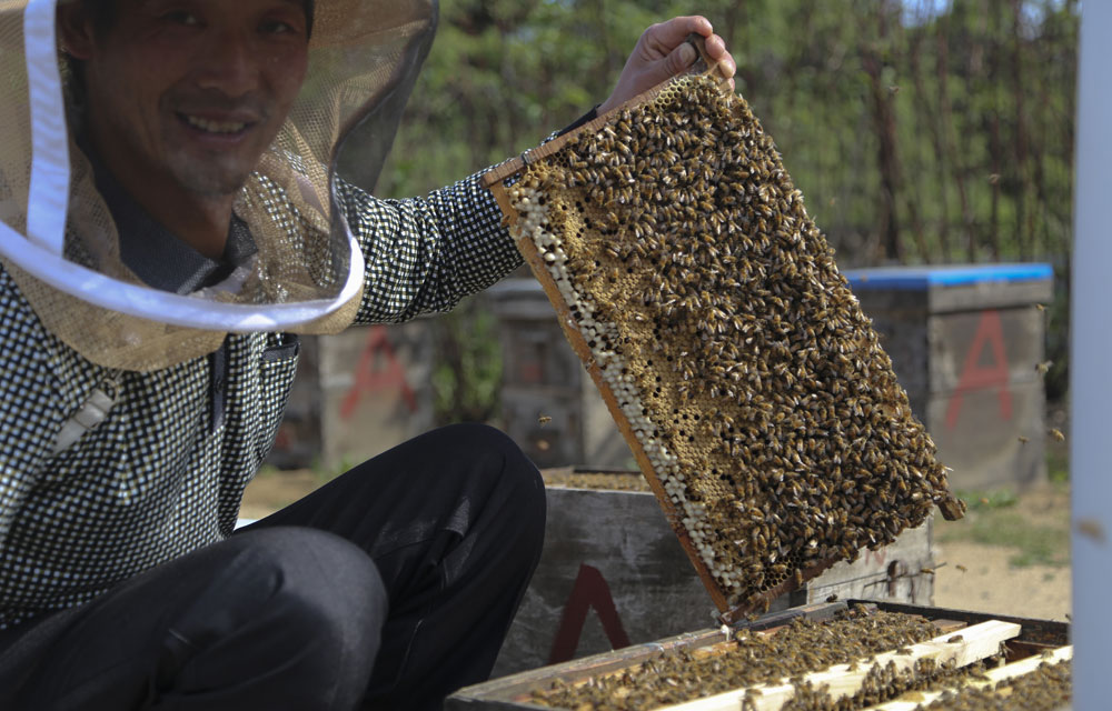 ������������۵��������҂��fԒ�g���B���˱��U��һ��������΢������һ���^�m�f����һ����Ǹ��������ܣ��డ�������T�˶����X��ɶ����