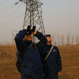 �������^��߉�����c�������B��̎�Ƿ����Ʉ�