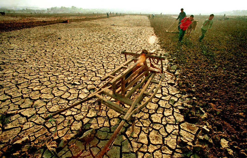 4����������1991��10�����R�������������ظɺ����ڄڵ��υ^���񲻵Ȳ�����