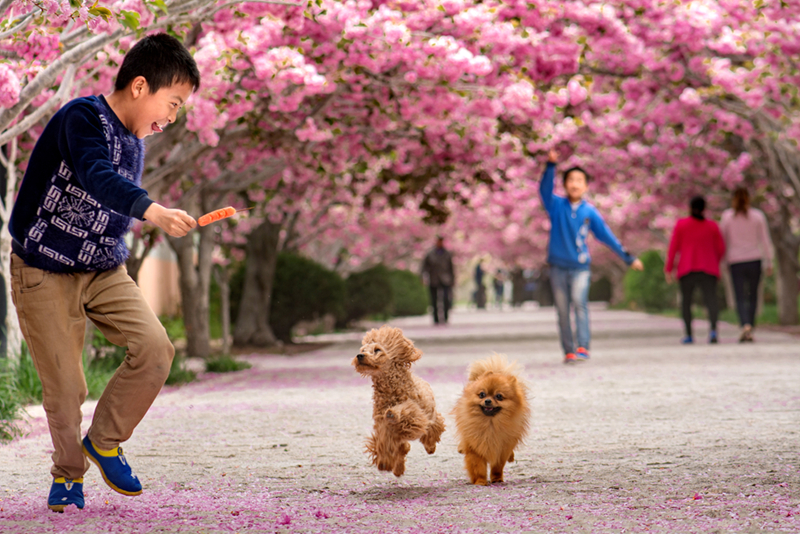 4 �ѻ�����--2016��4�����R���媴�ęѻ���������ӂ��͌��ﹷ���_�ĵ���ˣ��---�����A.jpg