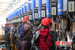 4 �y�ゥ�I��ţ������_���f�^�����֮һ������մ�������I����.jpg