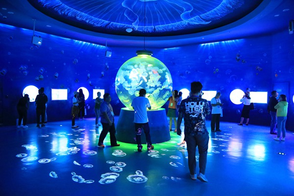 唯美夢幻的水母宮 唯美夢幻的水母宮