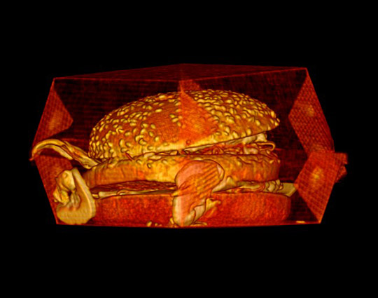 X�侀�����g�Ĕz���w