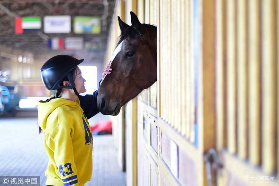 ��95�󡱵�ꐗ������u�r(n��ng)�I(y��)��W(xu��)��(d��ng)��ƌW(xu��)���R�I(y��)���򣩌��I(y��)�Ĵ����W(xu��)�������Ĵ�W(xu��)��������Ͼ��Ǉ��@���Rչ�_(k��i)�ģ��Rƥ�o(h��)�����Rƥ����������R���Լ�һЩ�R�g(sh��)֪�R(sh��)��Ҫ���ա�