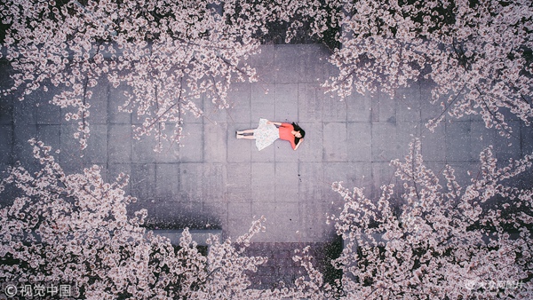 2018��3��25�������������ęѻ�ͬ�����ˣ����Ͻ̌W(xu��)�����e��һ���L(f��ng)ζ��