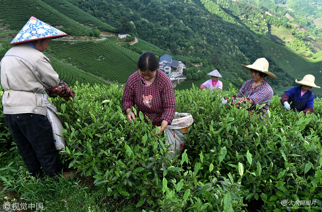 5��3�գ����Խ���ʡ���d�е�50�����ɲ蹤���㽭���x���X�������@�ɲ衣��2�µ��_ʼ�����l�㽭���x��@��ÿ���Ё��԰��ա��������F�ݵȵصĲɲ蹤������؝�ڲɲ�ѿ��