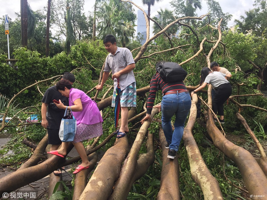 2018��9��17����Ϣ�����ڡ��_(t��i)�L(f��ng)�^(gu��)����ׂ�(g��)�����գ�һ�����ڄڡ�Ԫ?d��)�M�M�������ˣ��ѽ�(j��ng)�����ñ����L(f��ng)���y�����飬̤���ˡ�һ���y�M�����ϰ�·��