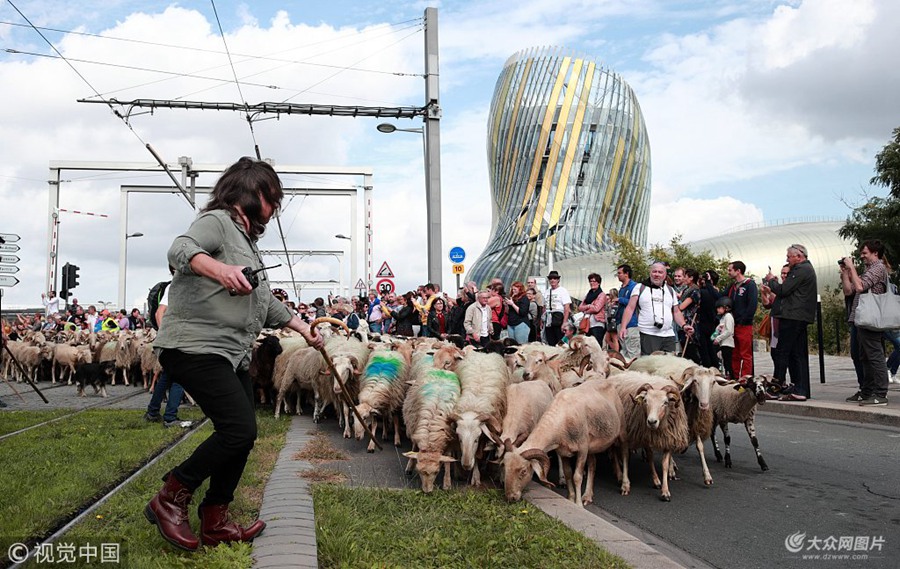 ���ؕr�g2018��10��6�������������࣬һǧ�^�򴩳Ƕ��^��