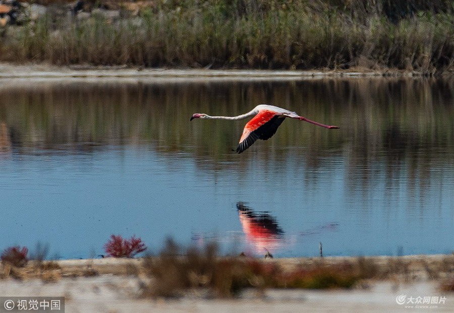 ������֣��zӰ�ۺ����ڶ�߅�hƈ���^���B��r�l�F1ֻ�B�����_�J������B�������B����Q�t�X����Ҫ�ֲ����������ޡ����ޡ��Ё����ρ��ȵ؅^����������lΣҰ�����1997�����҇��½��״ΰl�F���_��ԓ�B��