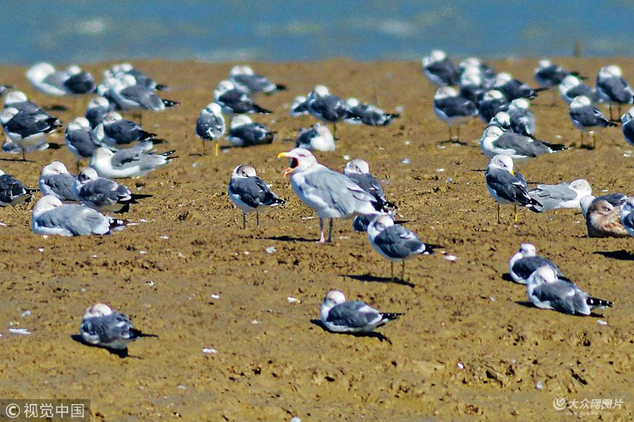 2018��10��17�գ����u�z�ݞ��ذ�����ϣ���β�t���y�t���t���t���t�B�y����Ⱥ���B��m���wԽ���أ������������ӡ�