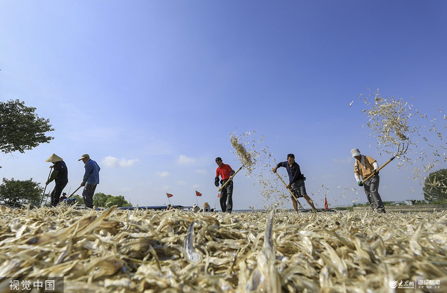 ��ɺ�ë���~ϲ�@�S�� �O�˴a�^һƬ��æ