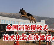 ȫ�������Ѿ�Ȯ���g�����ڝ��e��