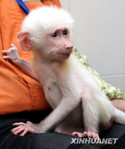 1��10�գ����������ڹ����ˆT���ϡ�