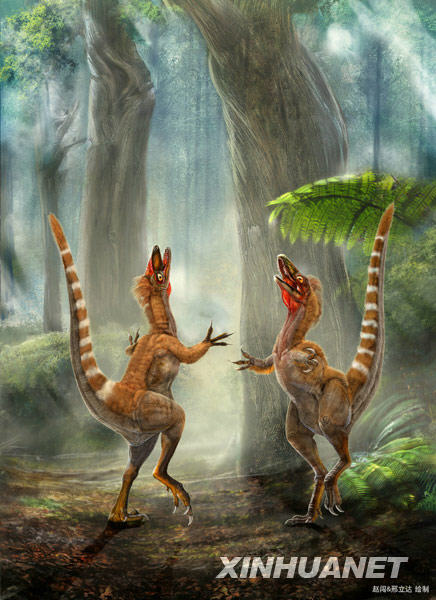 這是科學家根據研究推斷的中華龍鳥色彩復原圖。