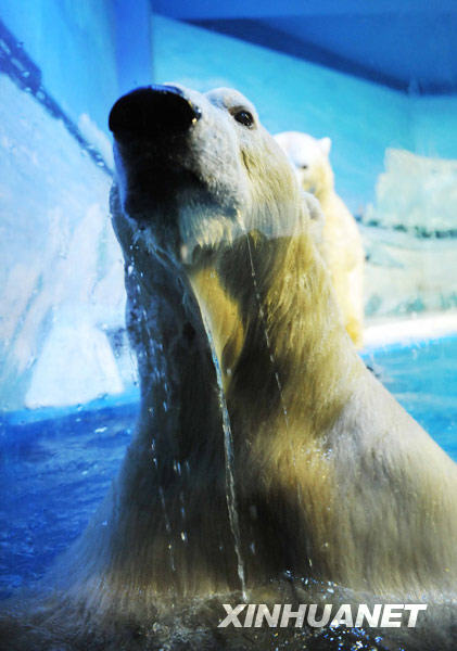 1��29�գ����O�܏�ˮ��̽���^��