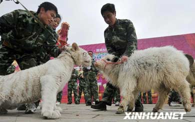 ��С�ܡ��Ǆe��ţ���