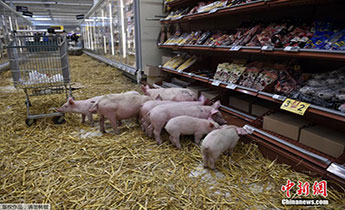 �����r���h�i��r�� �������r�^׃���iȦ��