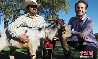 �������ݾ��f��ɽ��������������ӭ���Ї�����