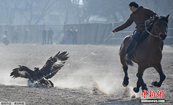 ������˹˹̹���C�� �C��չ�Ჶץ��؂