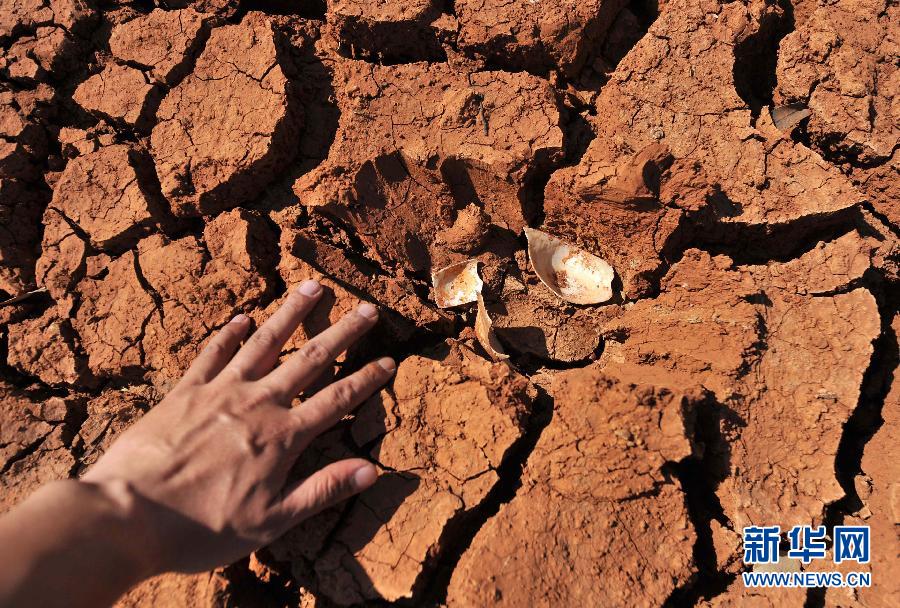 (走基層 聽(tīng)民聲)(2)云南遭遇四年連旱 記者走訪石林干旱地區(qū)