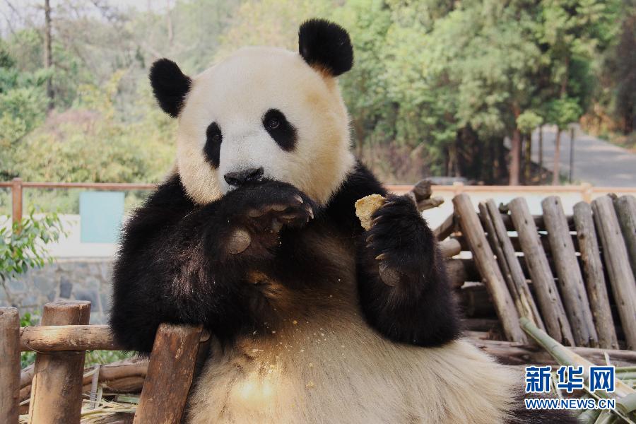 ����؈˼�λ֏͡���؛����ɫ