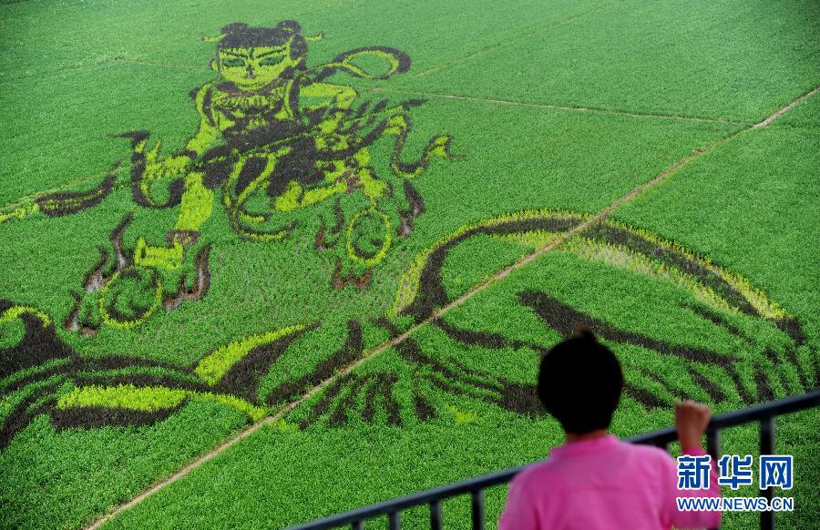 7��1�գ�һλ���^�������p���顶��߸�[�����ľ��͵��ﮋ��