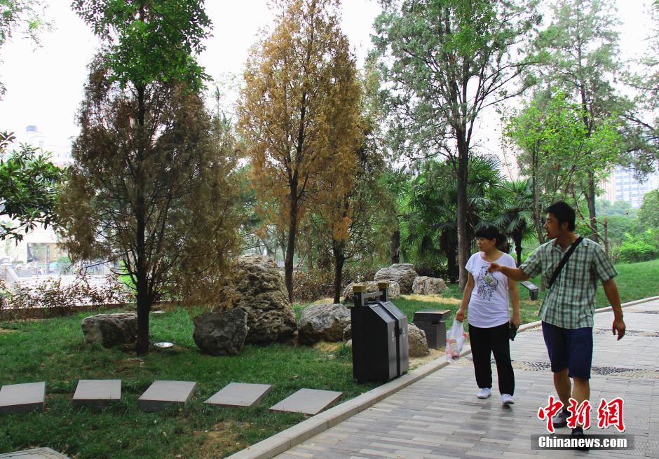 �M�ܹ����ˆTÿ��o�ذ���ľ�Ͳ��ˮ���o����ֲ������ꎾW�������ڸɺ����أ����в���ֲ�����F�����F�������m�ɺ����������o�Ǻӹ��@���֘�ľ�ɿ������Ʒ��z����