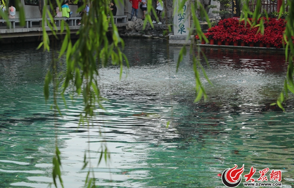 2���M(j��n)��5�·ݣ���ͻȪˮλ��һֱ��27.90����28.01��֮�g�ǻ���һֱ���Ƴ�ɫ���侀���󱊾W(w��ng)ӛ�� ���L(zh��ng)�� �z_����.jpg