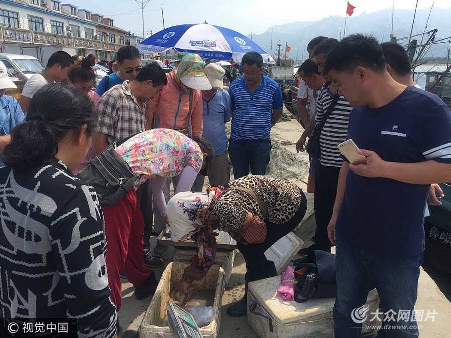 2017��9��1�������u�����ĸۖ|�O�a�^�_��ʢ�r��Ŀǰ������4���µ��ݝO���ѽY�������н�600��vʷ��λ�����u�Ѝ�ɽ�^�����f�ֵ��ĸۖ|�O�a�^9��1������12�c��ʽ�_����