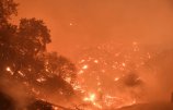 美國加州山火肆虐.jpg