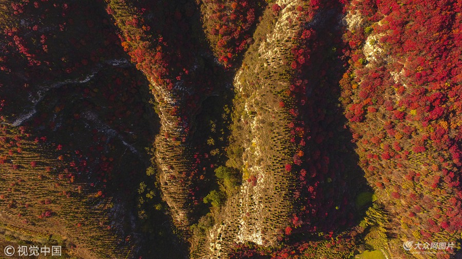 2018��10��18�գ�ɽ�|�Ͳ�����Դ�h�P��ɽ��ɽ�t�~��