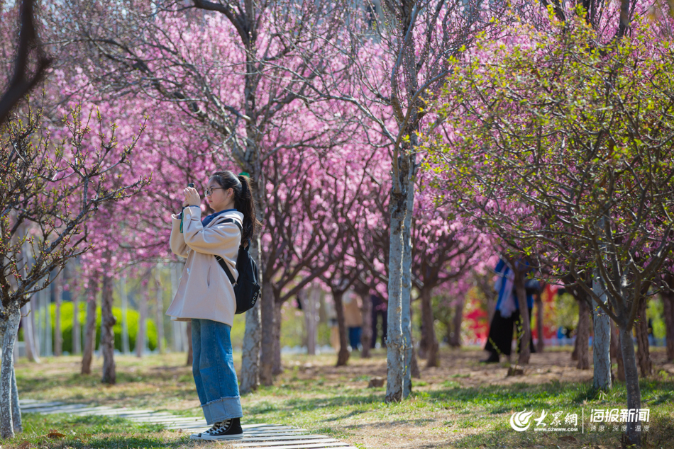 �D2 �ڝ�(j��)�ϴ�W(xu��)���mԷ�����_�M�@���S��ͬ�W(xu��)�v����������.jpg